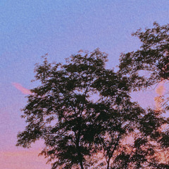 Pray (prod. Trauma Tone)