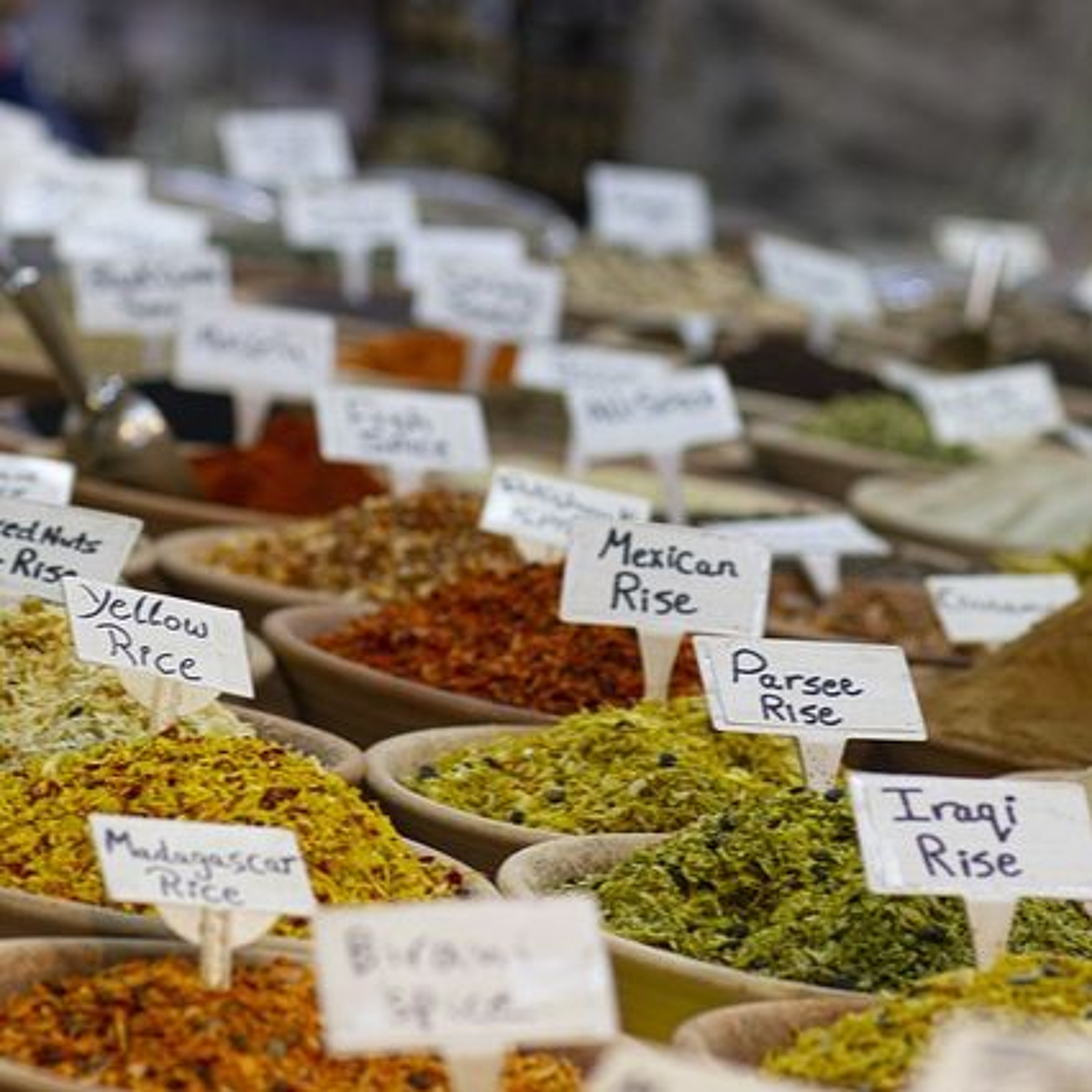 Real Life in Israel - Returning Home