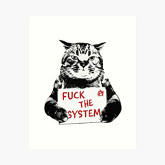 F*ck The System (prod. by Solid P)