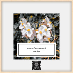 Mundo Descomunal - Noctive