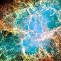 sativa connection #3