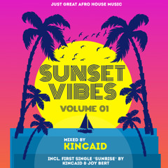 Sunset Vibes Vol. 01