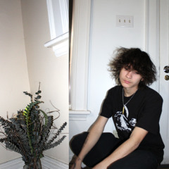 hermit
