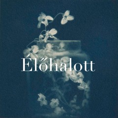 Mester Fanni - Élőhalott