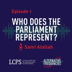 Episode 1 - Who Does the Parliament Represent?