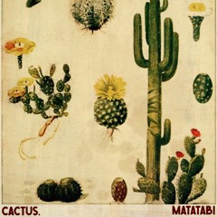 1.thorns - from Cactus beattape.
