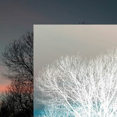 things//never//change.