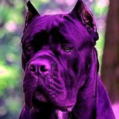 Cane Corso ft. PINEAPPLELOAFER