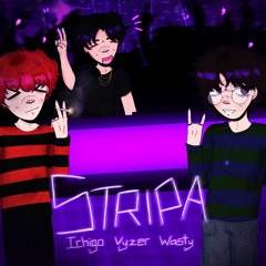 stripa +Vyzer & WASTY