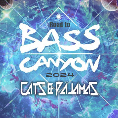 Cats & Pajamas - Road to Bass Canyon 2024 Mix