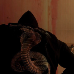 zhanulka - Лазить по стенам (HARDSTYLE REMIX) By SYNRAGE