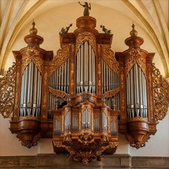 Part 7 / 12 of Chorale Partita "Sei gegrüßet, Jesu gütig" (BWV 768): Variation 6