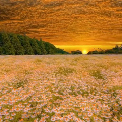 in Meadow with a friend