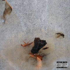 IGOTIT (K.R.AZ.Y, GATTION808, KIDD969)