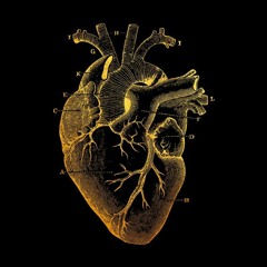Dirtyface HQ - Heart OF Gold (Prod. Snapp Beats)