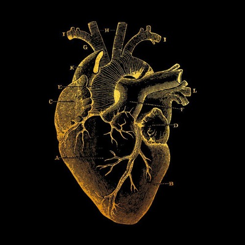 Dirtyface HQ - Heart OF Gold (Prod. Snapp Beats)