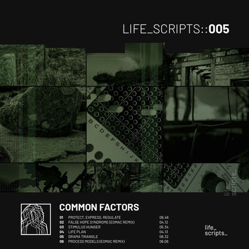 PREMIERE | Common Factors - Protect Express Regulate [Life Scripts] 2021