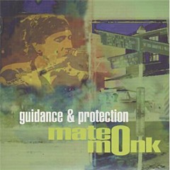 Guidance & Protection