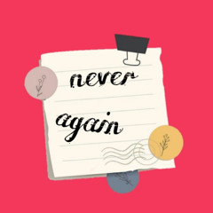 The Phonic - Never Again