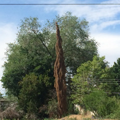 Turning into a skeleton