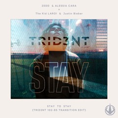 Stay to STAY (TRID3NT EDIT) (BPM102〜85 Transition)