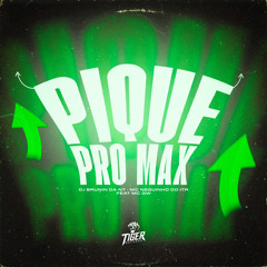 PIQUE PRO MAX - DJ BRUNIN DA NT, MC GW, MC NEGUINHO DO ITR