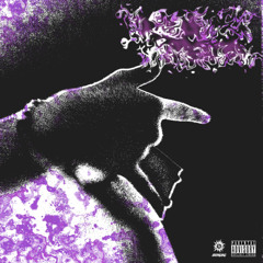 Rub3Nve - Krazy shi