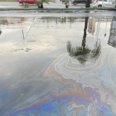 Fuck it/While I’m still here Prod. Mercado