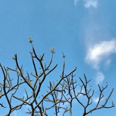 Hele ng Hangin (demo)