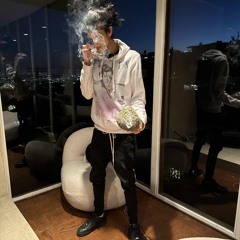 xd Birkin Freestyle [Remix] prod. xaviersobased/napxlm