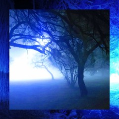 enchanted forest [new biome] (AYECHRIS remix)