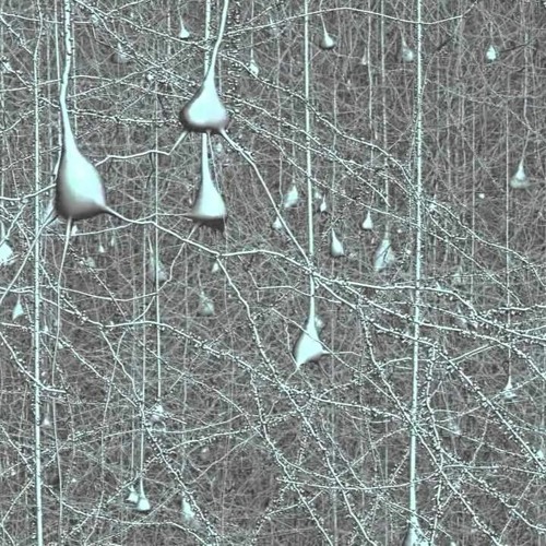 deep in your brain