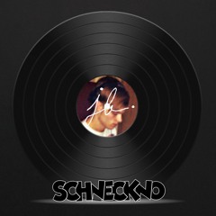 A Trip Down Memory Lane - Schneckno