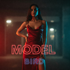 MODEL (Track Battle 43) BIRD X ICY