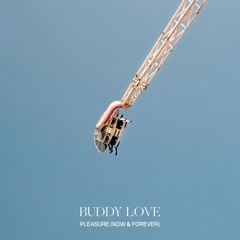 Buddy Love - Pleasure (Now & Forever)