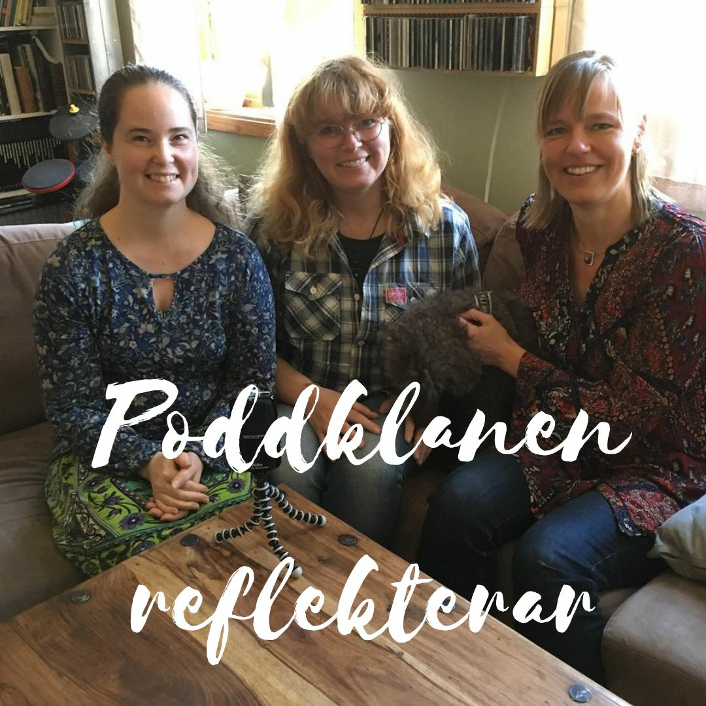109. Går det att ta lagom mycket ansvar? Poddklanen reflekterar #11 episode artwork