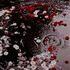 char opium + таксі до закладки