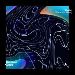 Walden - Where You Belong (Radio Edit)
