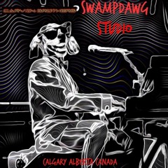 Dont Dream It's Over - Crowded House Cover