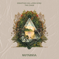 Sebastian Hal, Idin Gorji - The Chase (Extended Version)