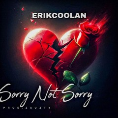 Sorry Not Sorry (Slowed Version)
