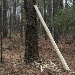 will u still be my friend