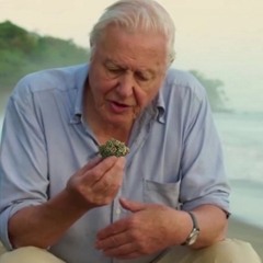 David Attenborough's Feeling Randy - (minimix)