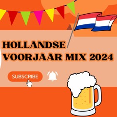 Hollandse Feest Mix 2024 | Vol. 4