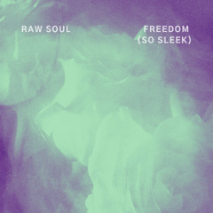 Freedom (So Sleek) (Prod. by Lucas Quinn)