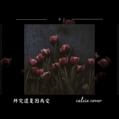 終究還是因為愛 - Calsie Cover