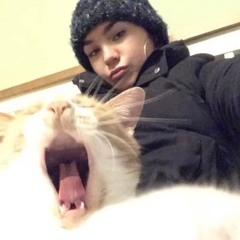 The Sounds of Summer