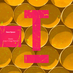 Steels (Catz ‘n Dogz Extended Mix)