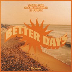 Small ToK, Alex Schneider & El Puffin - Better Days