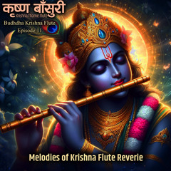 Krishna Theme Flute Music || Melodies of Krishna Flute Reverie || Budhdha Krishna Flute Ep 11
